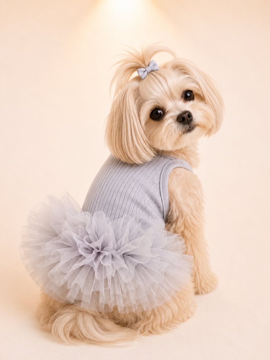 Ballet Dress