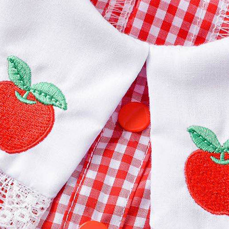 Strawberry Embroidery Dress
