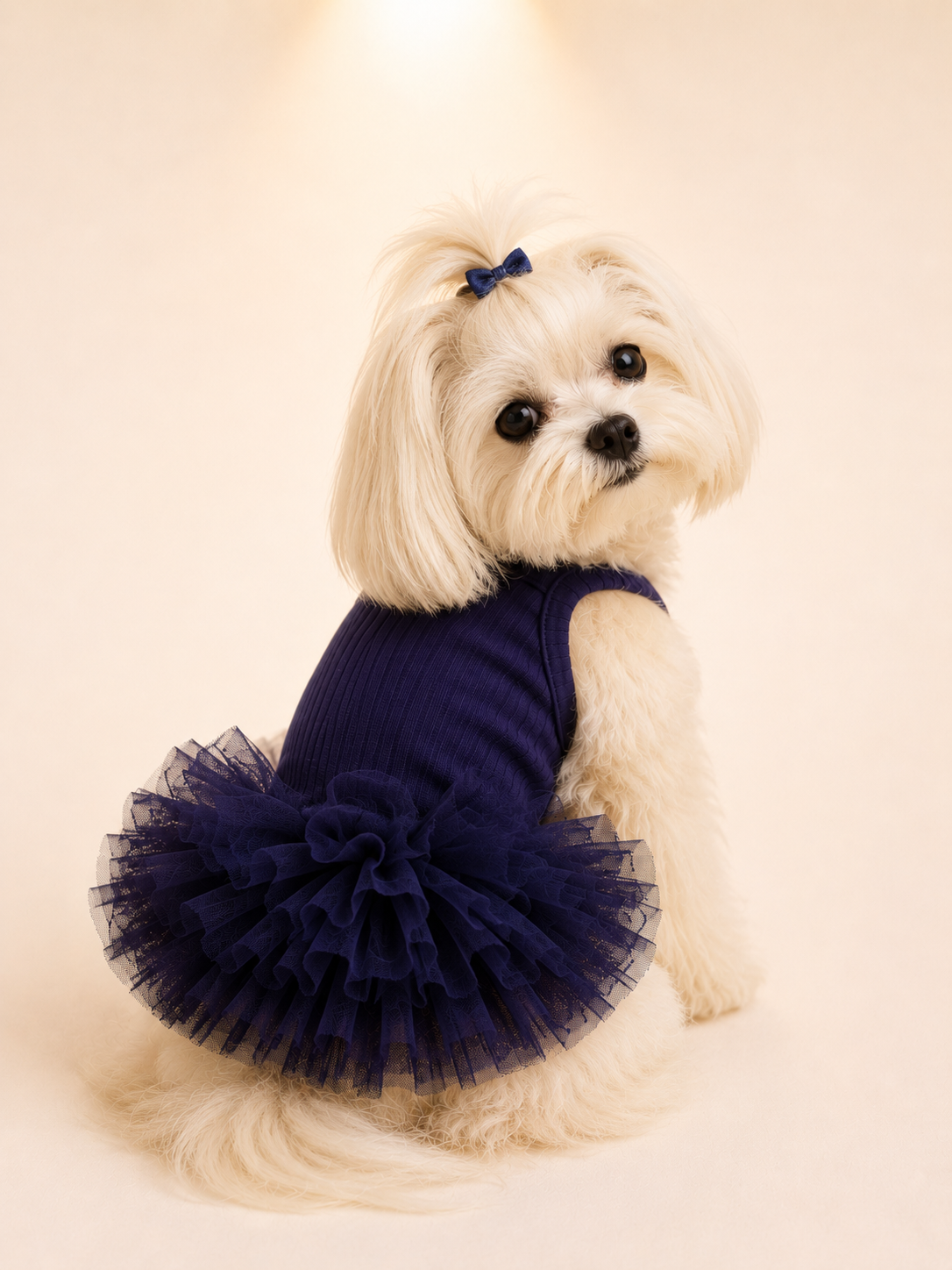 Ballet Dress