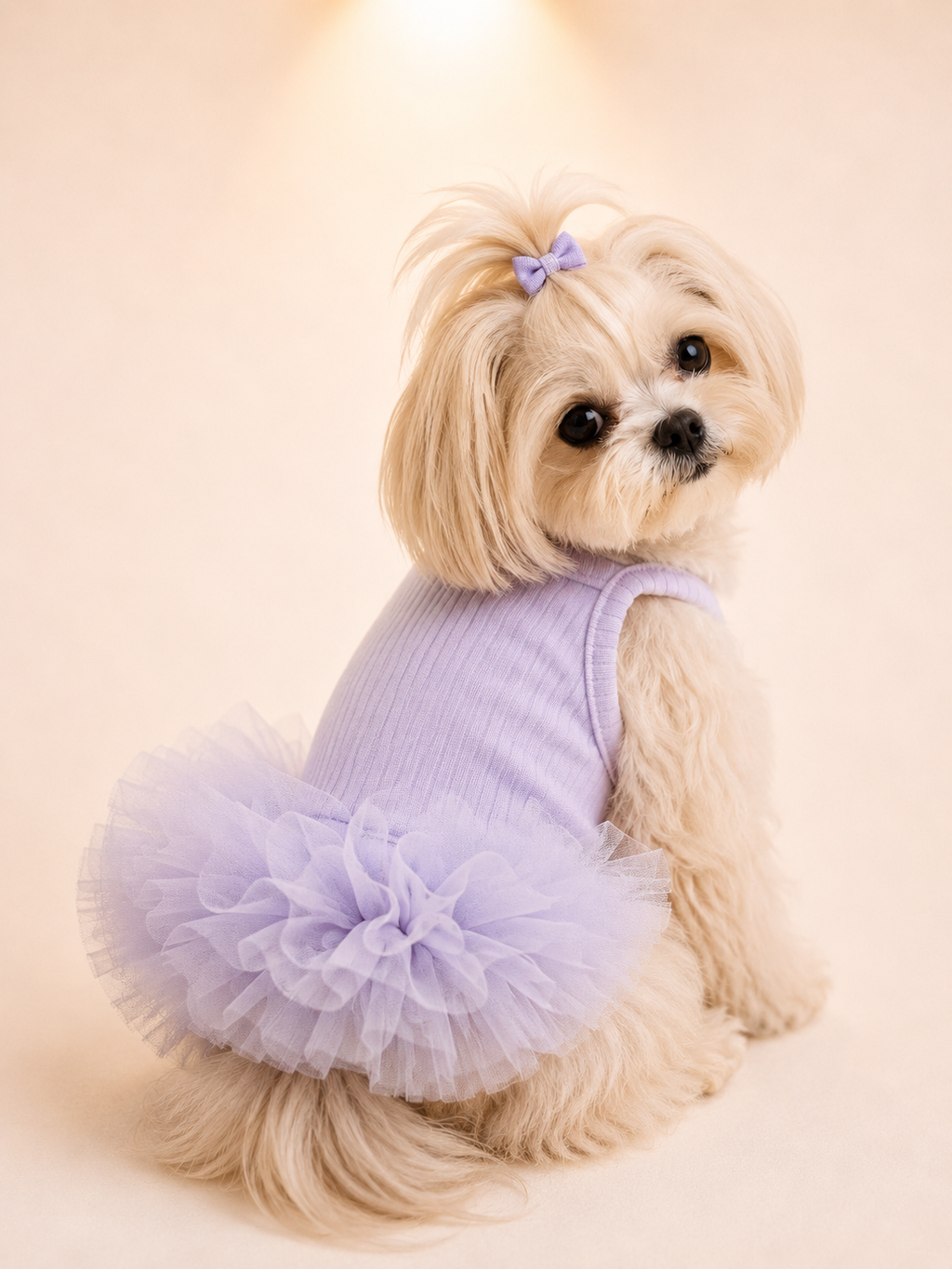 Ballet Dress