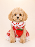 Strawberry Picnic Dress