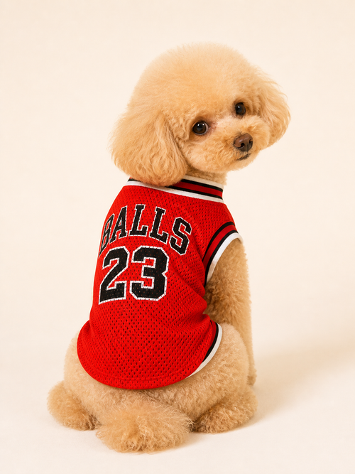 BALLS 23 Jersey