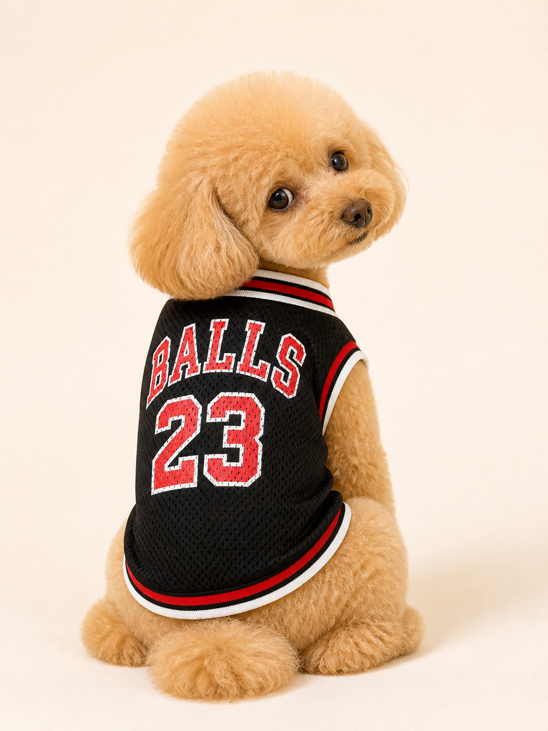 BALLS 23 Jersey