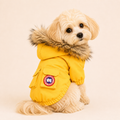 Snow Goose Jacket