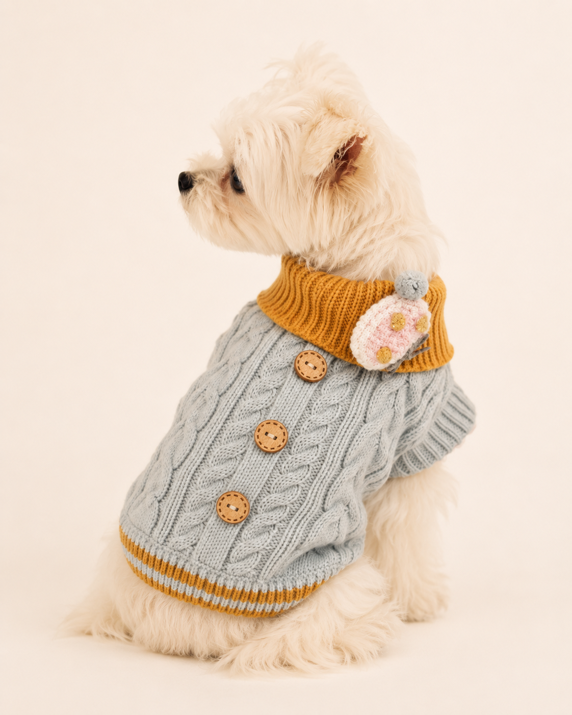 The Parisian Knit