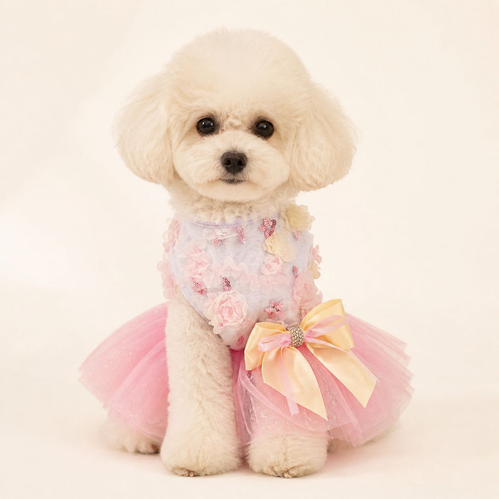 Mesh Floral Puppy Dress