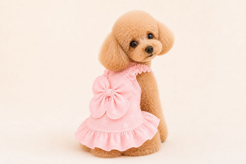 Bow Dress